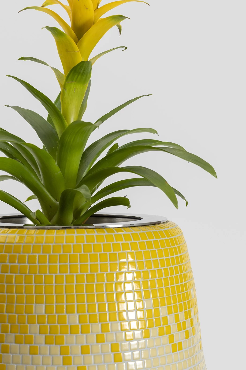 Jardinière - Pierre Charpin - Miscellaneous - Galerie kreo