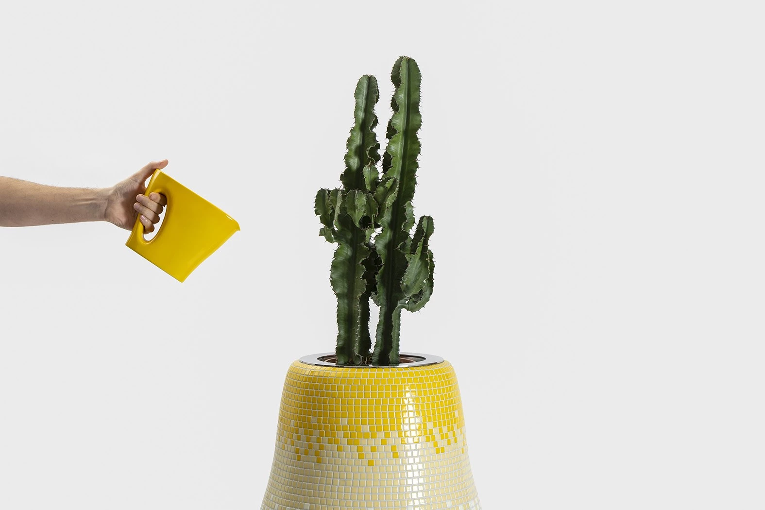 Jardinière - Pierre Charpin - Miscellaneous - Galerie kreo