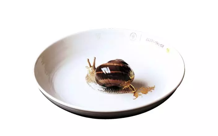 Plate with snail - Hella Jongerius - object - Galerie kreo